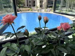 Pinevale (D18), Condominium #588853761